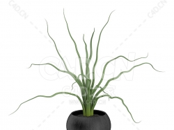 C4D弹簧草办公室客厅盆栽绿植模型