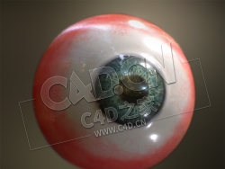 C4D人眼球模型 OJO FINAL