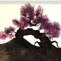 桃树、桃花C4D模型 Peach, peach blossom