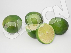 C4D青柠酸橙柠檬水果模型 Limes 3d Model