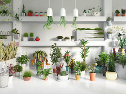 48组室内植物花卉景观3D模型合辑 EvermotionArchmodels vol. 141