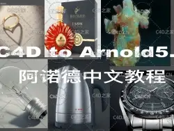 9集C4D to Arnold5.0阿诺德中文教程