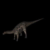 恐龙3D模型：叉龙(Dicraeosaurus）