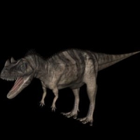 恐龙3D模型：角鼻龙（Ceratosauria）