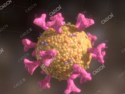 新冠病毒奥密克戎变异病毒coronavirus sars cov-2