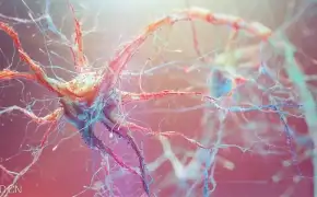 C4D神经元细胞景深效果视频教程 Neuron with Depth of Field