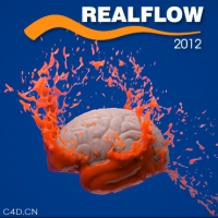 realflow 2012汉化版 无限机可用（非一码一机）