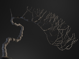 枯枝树盆景c4d模型下载