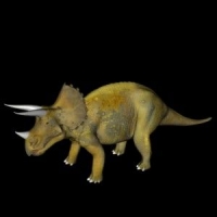 恐龙3D模型：三角龙（Triceratops）
