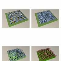 公园花池、鲜花地C4D模型 Park Flowers 3D model