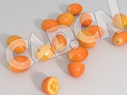 C4D金橘水果模型 Qumquats 3d Model