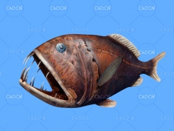 尖牙鱼C4D绑定动画模型 fangtooth c4d model