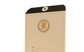 企业VI模型之档案袋设计C4D模型 Portfolio 3D model