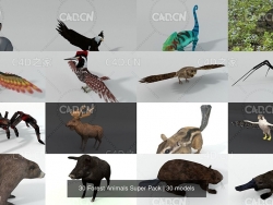 30个森林动物三维模型集合 30 Forest Animals Super Pack 3D Model Collection