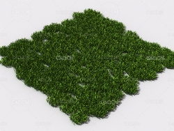 花纹草坪草地绿草植物C4D模型 pattern_lawn-grass-10