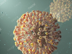 新冠病毒球状病毒病菌微生物模型下载 Corona Covid-19 3D Model
