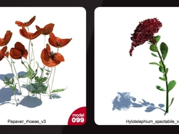 148个草和小植物的高精度的C4D模型