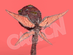 背巨瘤的科幻怪物C4D绑定动画模型Raznid_nephirim