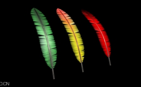 C4D羽毛插件 Magic Fearher V1.0