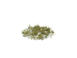 小野草植物杂草模型下载simple grass medium v2