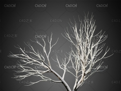 冬天干枯的树木C4D模型HeliosVegetation Vol.6