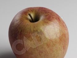 C4D一颗红苹果水果模型 RedApple