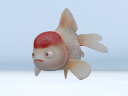 观赏鱼 金鱼 罗汉鱼MAYA模型 Golden Fish Maya Rig (Single Seat)
