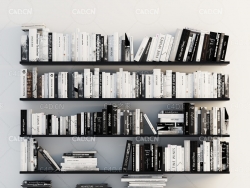 放满图书的书架墙C4D模型 books