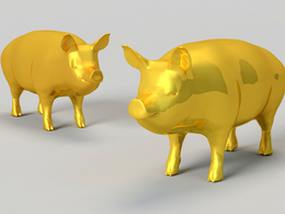 2019年吉祥金猪(pig)低面C4D模型