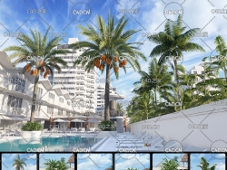 40个棕榈树 椰子树3D模型合集[MAX模型] Archmodels vol. 201 – Palm Trees