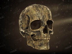 人头骷髅头C4D模型-41Artstation– Noya Decorative Ornamental Kit 3d Model