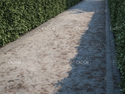 绿化带景观道路水泥硬化路面贴图模型 green belt path c4d model