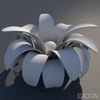 C4D模型：Basic Objects for c4d (r13) 001