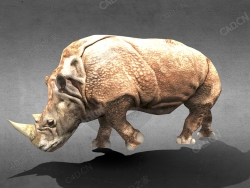 犀牛 rhinoceros-withwalkrunattackidle-animations