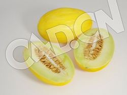 C4D蜜瓜香瓜水果模型 Honeydew Melon 3d Model