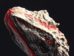 C4D实用工程第264季：鬣蜥的头C4D工程文件 c4d project