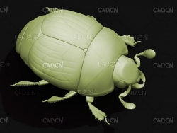 泰坦甲虫灭霸铁锭甲虫 昆虫甲虫C4D模型 Hister beetle