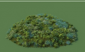 阿尔卑斯山景观植物和石头3D模型合集 R/D Group – iAlpine for MultiScatter