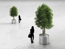 圆型花盆内的绿色树木C4D模型