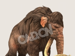 C4D猛犸象模型（包含骨骼绑定动画) Mammoth_Idle 3D Model
