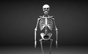 人体骨架C4D模型