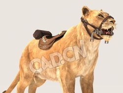 C4D狮子母狮雌狮模型（包含骨骼绑定动画) lioness_Idle 3D Model