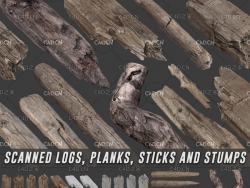 20个木桩朽木旧木头精细3D模型合集 SCANNED LOGS, PLANKS, STICKS AND STUMPS