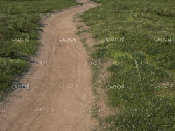 弯弯曲曲的乡间小路沙土路C4D模型 green belt path c4d model