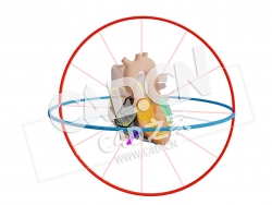 C4D心脏RCA 梗塞与干扰和载体模型 RCA Infarct met Afleidingen en Vector