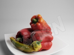 C4D盘子里的彩椒辣椒蔬菜模型 Peppers