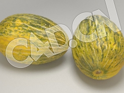 C4D甜瓜香瓜蜜瓜水果模型 Futuro Melon 3d Model