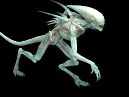 外星人MAYA绑定模型 Alien 3d model