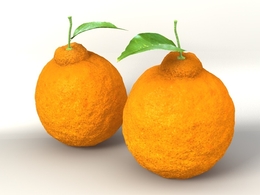 橙子C4D模型 orange