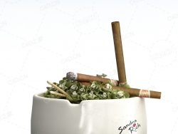 烟灰缸香烟C4D模型